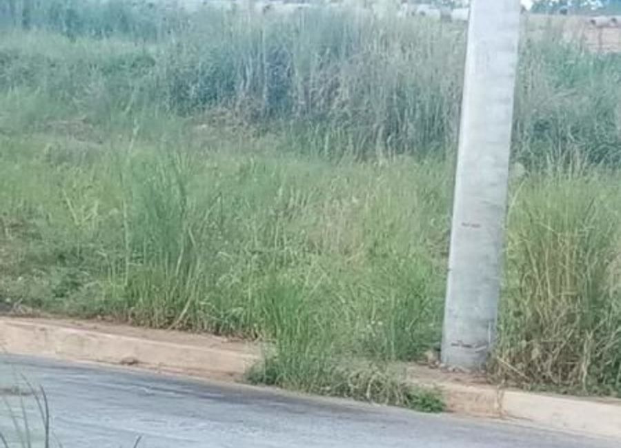 place photo 27