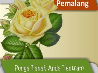 Dekat Balai Desa Rowosari Pemalang, Tanah Murah, Harga 1 Jt-an/m2
