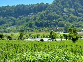 TANAH DATAR DI DANAU BUYAN BEDUGUL BULELENG, BALI