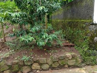 Tanah jumantono bonus duren 125jt