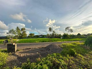 Tanah Strategis Dengan View Sawah Di Ubud, Gianyar