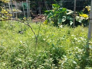 Dijual murah tanah pinggir jalan raya Cut Mutia Bekasi