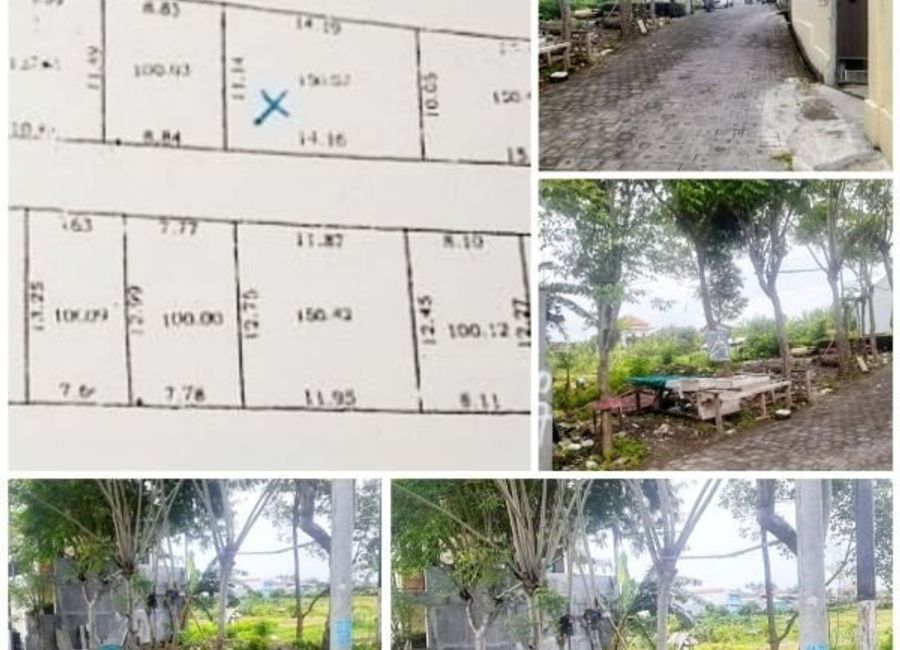 place photo 4