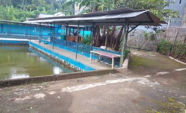Tempat Pemancingan Nuansa Pesawahan Samping Perumahan, Pakuhaji, Bandung Barat