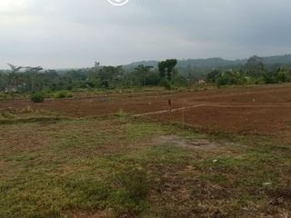 KAVLING MURAH AREA PATRANG JEMBER