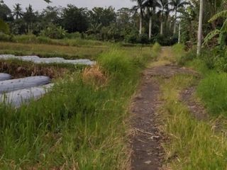 lahan  cocok  utk homestay, rumah  atau spot wisata agro