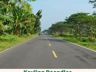 Tanah Kavling Dekat Hutan Mangrove SHM Jalan Daendels