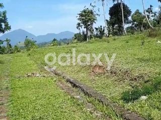 TANAH KAVLING BANJAR PAUSAN PAYANGAN GIANYAR, BALI