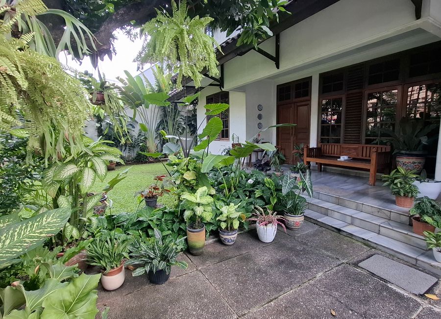 place photo 9