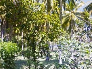 Dijual Tanah dekat dengan Pantai Baluk Rening Jembrana Bali Lt. 2Ha SHM 1,5jt/m2 NEGO