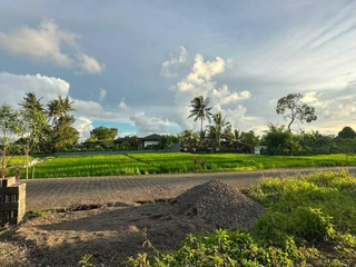 TANAH VIEW SAWAH DI RAYA TUNON SINGAKERTA UBUD GIANYAR