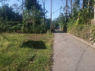 Dijual Kavling Strategis Harga Ekonomis Di Tengaran Semarang