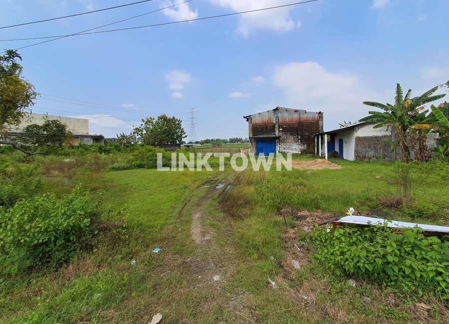 place photo 7