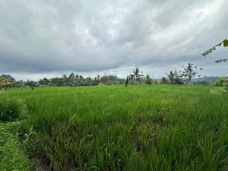 DIJUAL – Tanah Premium di Tegalalang dengan View Sawah & Pegunungan