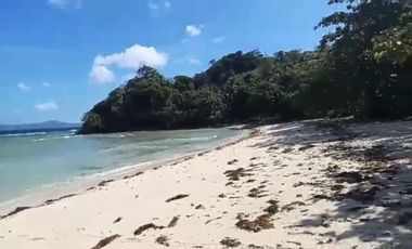 Stunning Beach Front land in El nido, Linapacan. RUSH SALE