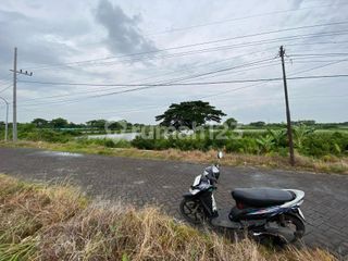 Tanah Strategis Dekat Jalan Pantura Duduk Sampeyan Gresik