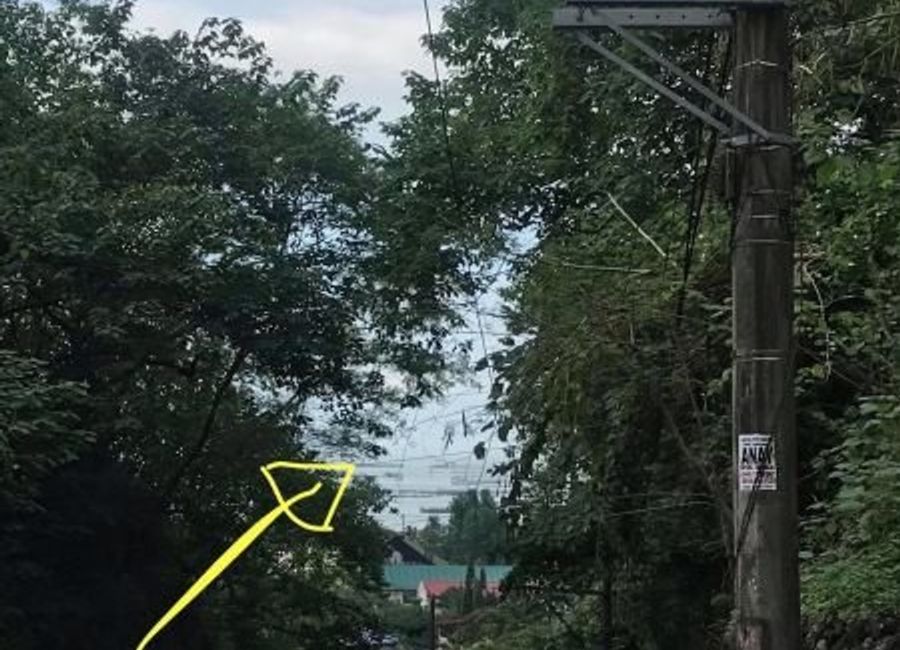 Lopez Avenue, Grove, Batong Malake, Los Baños, Laguna