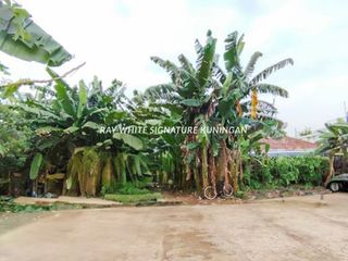 Tanah Kavling Cocok Untuk Hunian di Jl Gajah Mungkur Duren Tiga