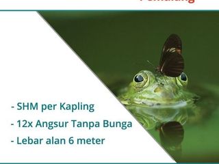 Kavling Pesona Kaligelang Pemalang, Legalitas SHM, Cicil 12x Non Bunga