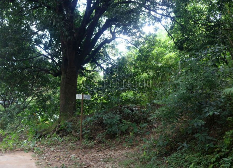Sumulong Highway, Masinag, Mayamot, Antipolo, Rizal image 2