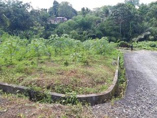 Tanah Siap Bangun di Desa Sembung Gede Tabanan