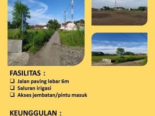 Tanah Dekat Kampus Jember, 8 Menit dari Alun-Alun Jember