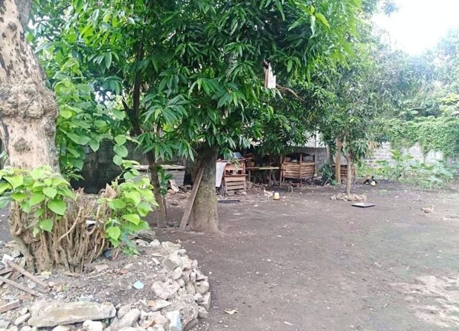 Esleigue Street, Poblacion, Luta Del Norte, Malvar, Batangas image 3
