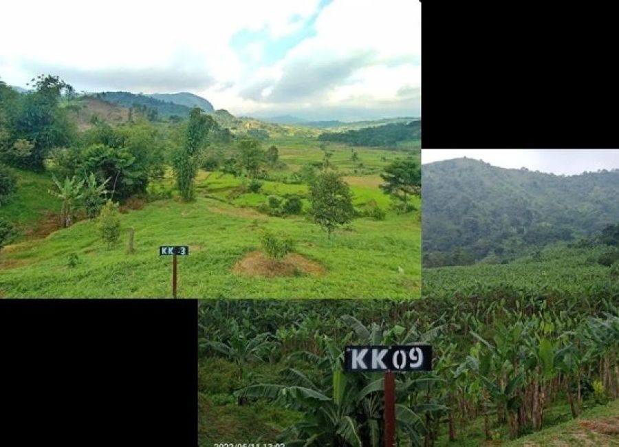 Tanah Muraaaaaaahh di Bogor | Lamudi.co.id