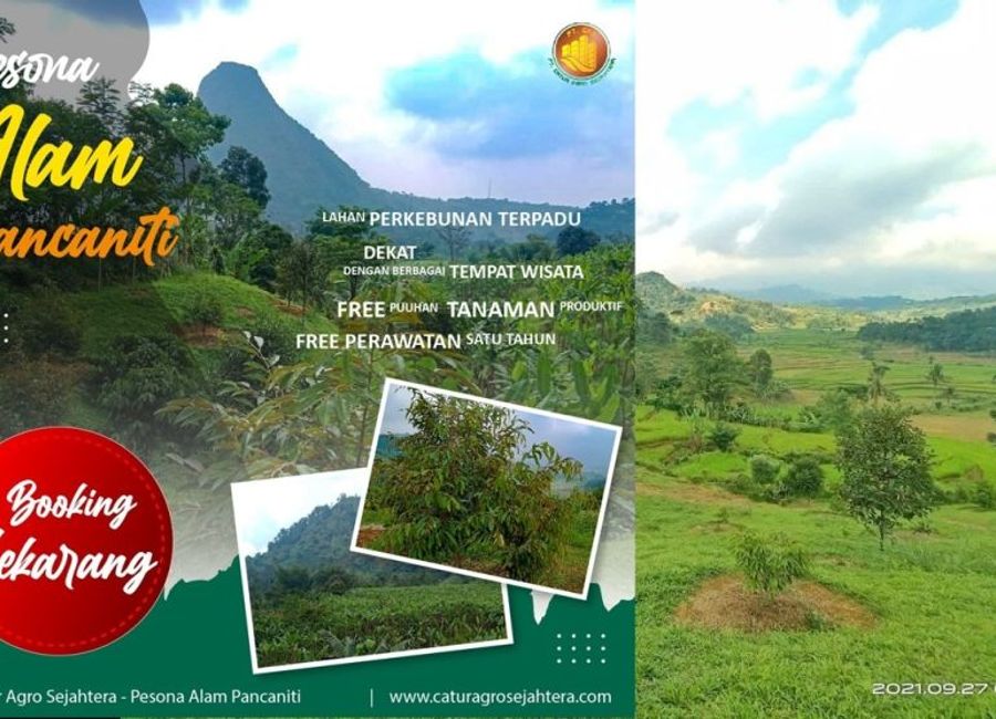 Tanah Muraaaaaaahh di Bogor | Lamudi.co.id