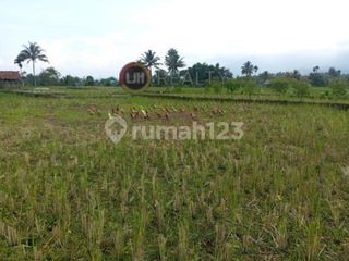 Dijual Tanah Sawah di Cisayong - Tasikmalaya