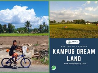 Tanah di Jember, Harga Terjangkau, Lokasi Strategis