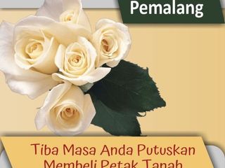 TANAH MURAH PEMALANG : Dekat Pasar Ulujami, Cicil 12x Tanpa Bunga