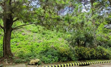 LOT INSIDE PINES GARDEN SUBDIVISION