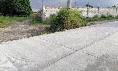 San Fernando Pampanga Raw Land for Sale