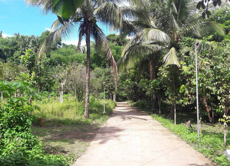 Maharlika Highway, II-F, San Pablo, Laguna