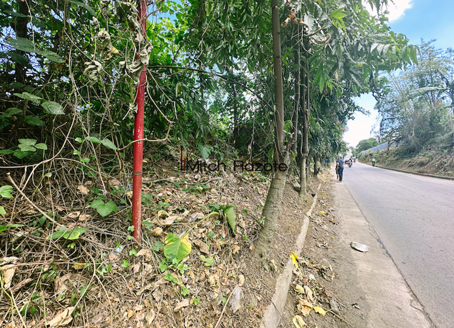 place photo 20