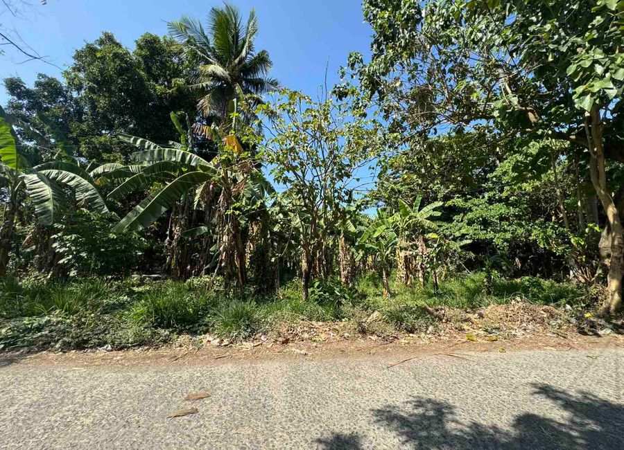 Maharlika Highway, Malabanban Norte, Labak 2, Candelaria, 2nd District, Quezon