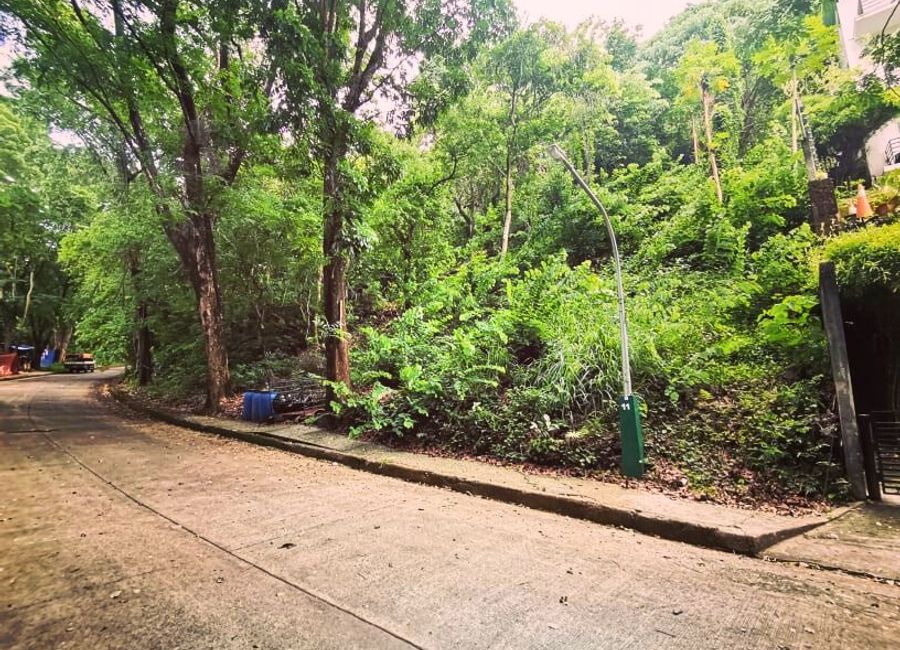 Town and Country Estate Antipolo Residential Lot For Sale 7133