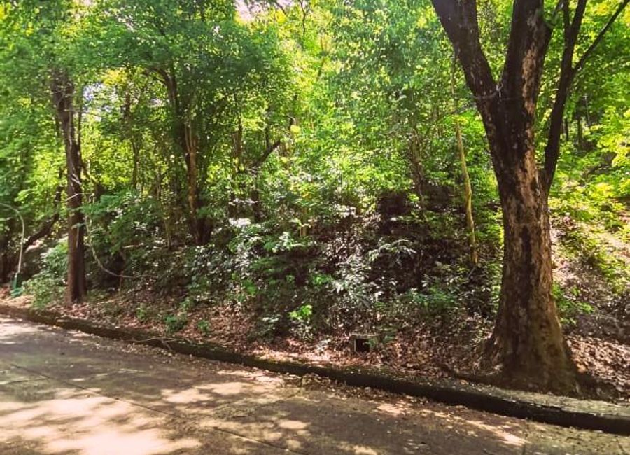 Town and Country Estate Antipolo Residential Lot For Sale 7133