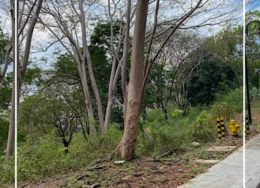 Terrazas de Punta Fuego, Nasugbu, Batangas