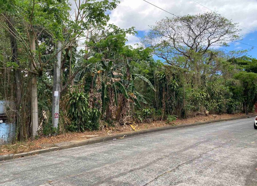 Don Celso Tuason Avenue, Town & Country Estates, Mambugan, Antipolo, Rizal image 3
