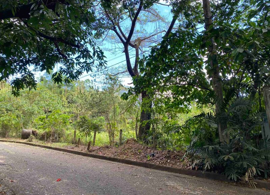 Don Celso Tuason Avenue, Town & Country Estates, Mambugan, Antipolo, Rizal