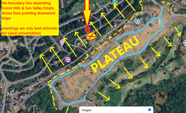 341 sqm Prime Residential Lot For Sale in Sun Valley Antipolo Rizal