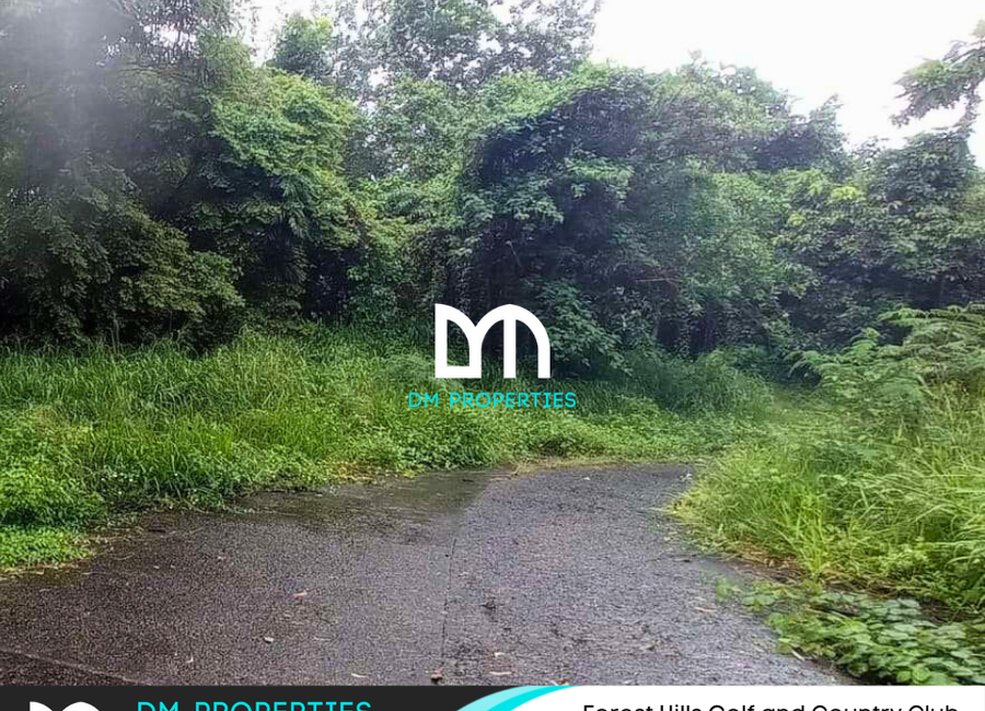 Forest Hills Avenue, Inarawan, Antipolo, Rizal