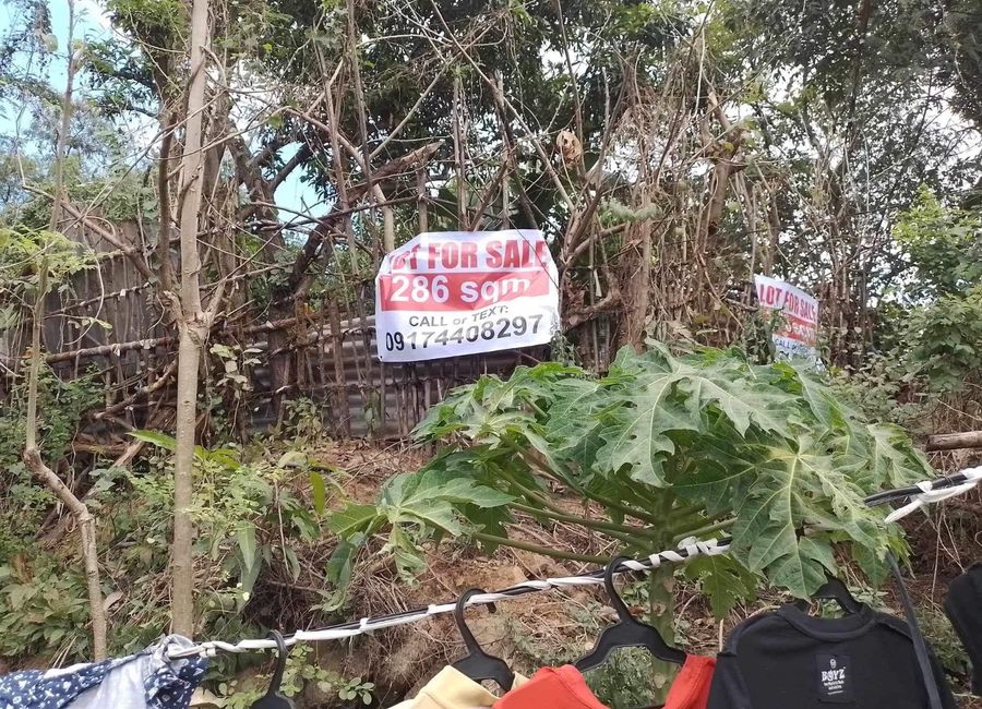 Cabrera Road, Hilltop, Dolores, Taytay, Rizal image 2