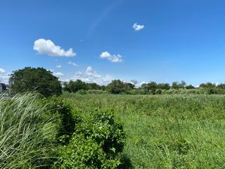 59000 Sqm Industrial Lot for Sale - Levi Mariano Ave. Brgy. Ususan, Taguig City