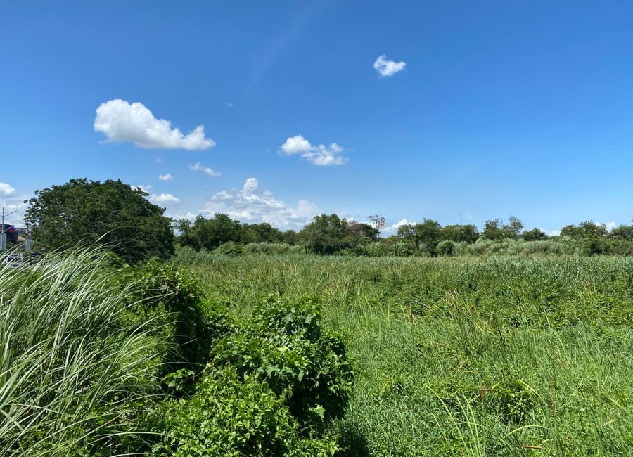 59000 Sqm Industrial Lot for Sale - Levi Mariano Ave. Brgy. Ususan ...