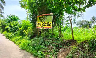 FOR SALE 11hectares Vacant Lot For SALE in Tanuan Batangas