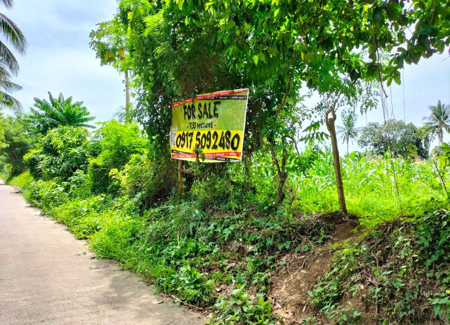 Mabini Avenue, Barangay 5, Tanauan, Batangas