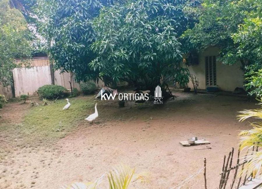 Balimbing Street, Town & Country Executive Village, Mayamot, Antipolo, Rizal image 2